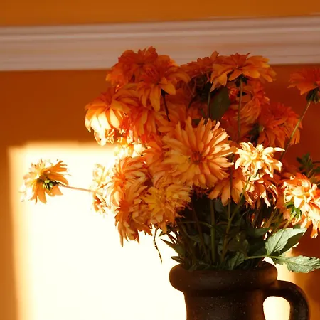 Casa Felisa Pirineo Aragonés Сasa de vacaciones Santa Eulalia de Gállego