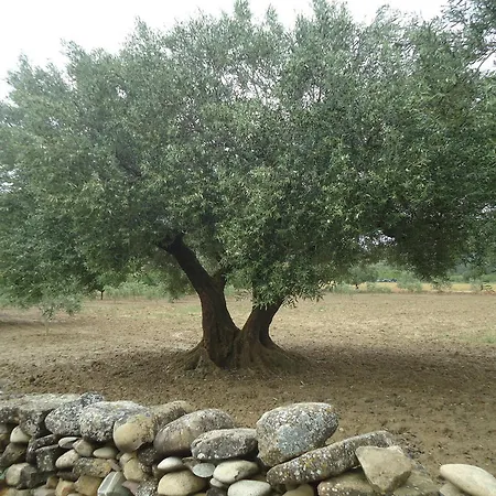 Casa Felisa Pirineo Aragonés Santa Eulalia de Gállego