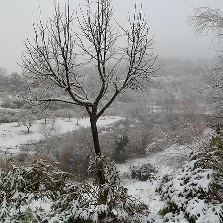Casa Felisa Pirineo Aragonés * Santa Eulalia de Gállego