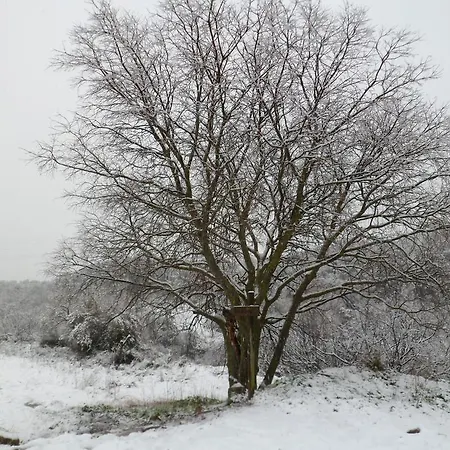 Casa Felisa Pirineo Aragonés