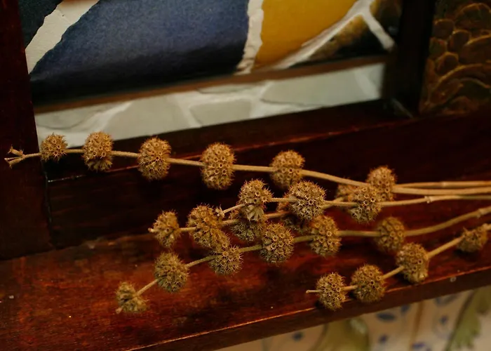 Casa Felisa Pirineo Aragones Ferienhaus *