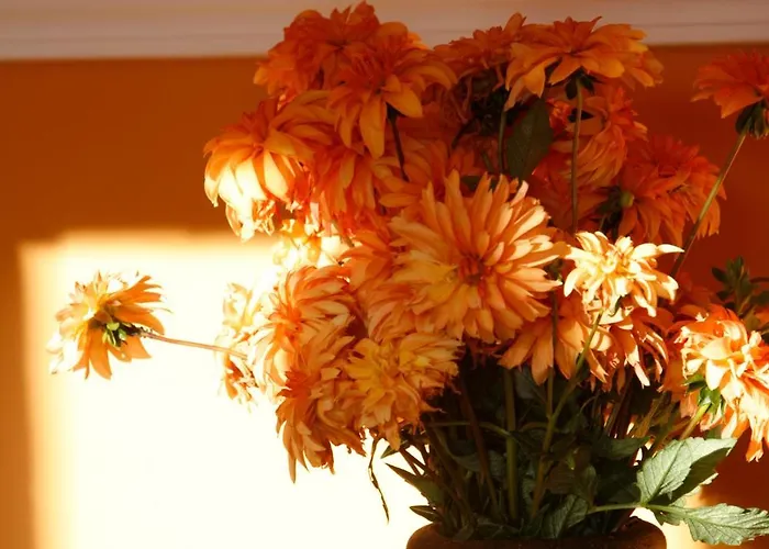 Casa Felisa Pirineo Aragones Ferienhaus Santa Eulalia de Gállego