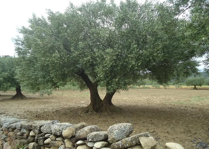 Casa Felisa Pirineo Aragones Santa Eulalia de Gállego