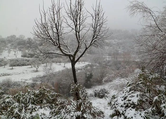 Casa Felisa Pirineo Aragones * Santa Eulalia de Gállego