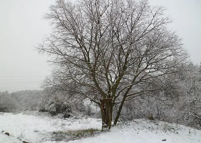Casa Felisa Pirineo Aragones